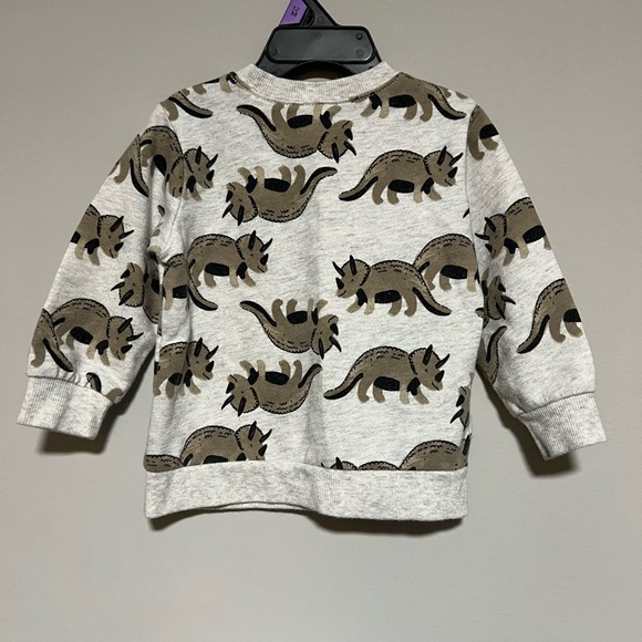 Carter's Size 18 Months Gray Brown Dinosaur Pull Over Long Sleeve Sweatshirt - Picture 5 of 7
